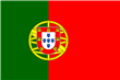 Cseh terrier tenyésztő és kölykök Portugáliában
