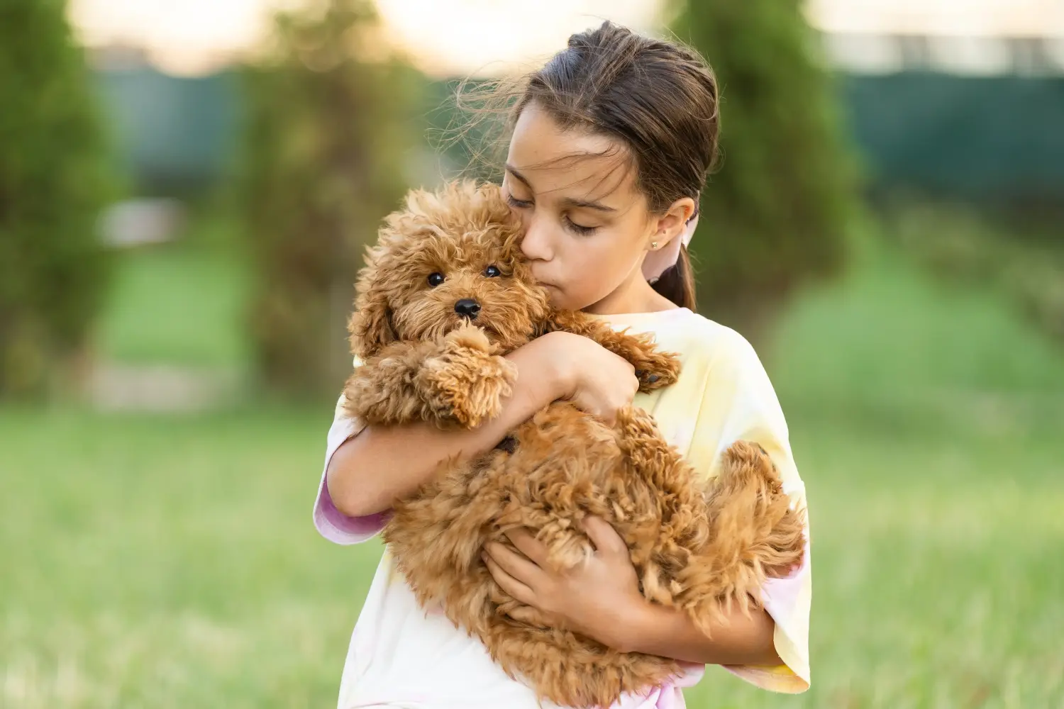 Maltipoo kölyökkutya vásárlása felelősségvállalást jelent! Maltipoo kiskutyák vásárlása.