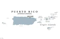 Spitz tenyésztő Puerto Rico,Estado Libre Asociado de Puerto Rico Spitz tenyésztő Puerto Rico,Estado Libre Asociado de Puerto Rico